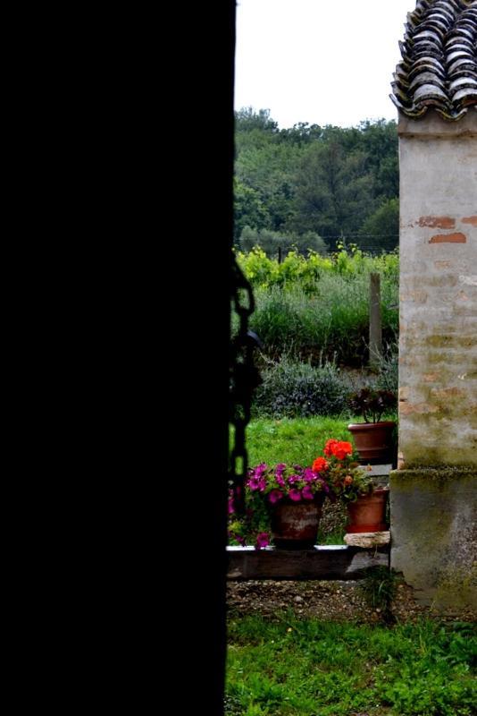 B&B Casale Fonte Vecchia Monteprandone Buitenkant foto